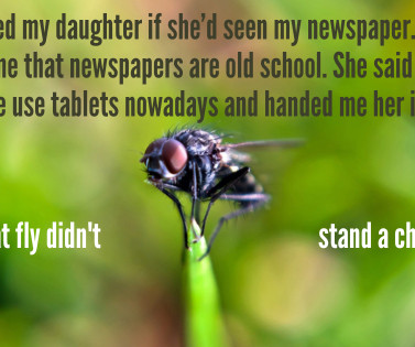 article thumbnail